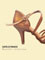 216 EH21 BD DANCE chaussures de danse latine femme