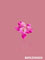 Orchid-2