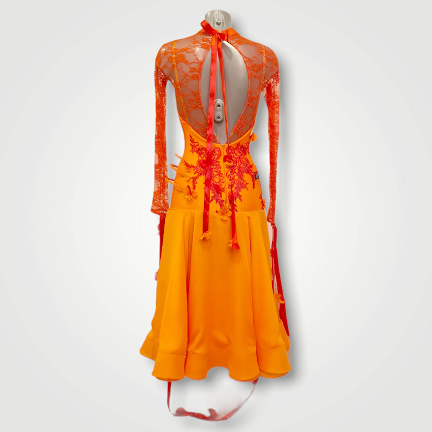 Designer Ballroom Dance Dresses for Top Dancers