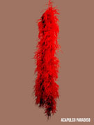 Plume d�autruche rouge 6 brins